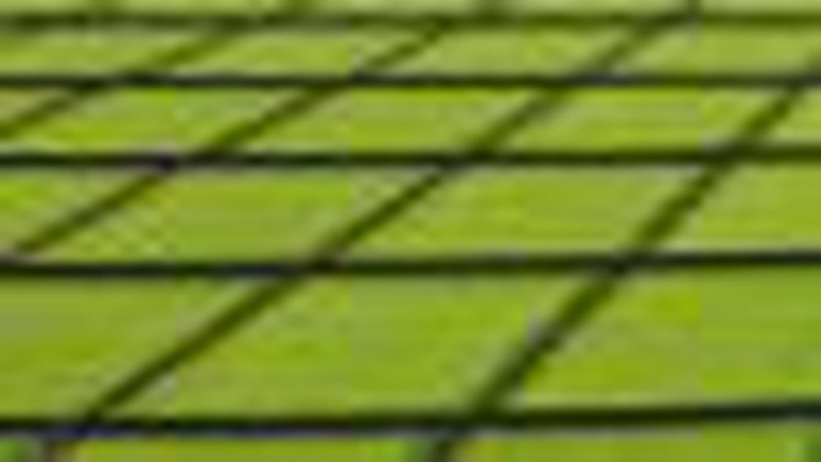 Micro-algues