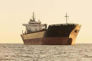 Trump annonce un protocole d'accord avec l'Iran avec lev&eacute;e du blocus naval et r&eacute;ouverture du d&eacute;troit d'Ormuz
