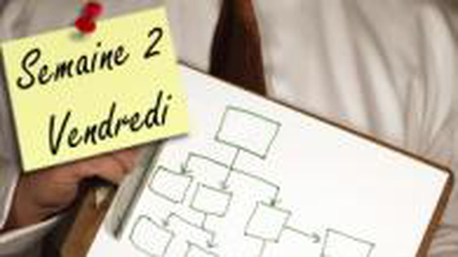 Organigramme