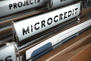 Microcr&eacute;dit professionnel&nbsp;: nouveaux montants et d&eacute;lais