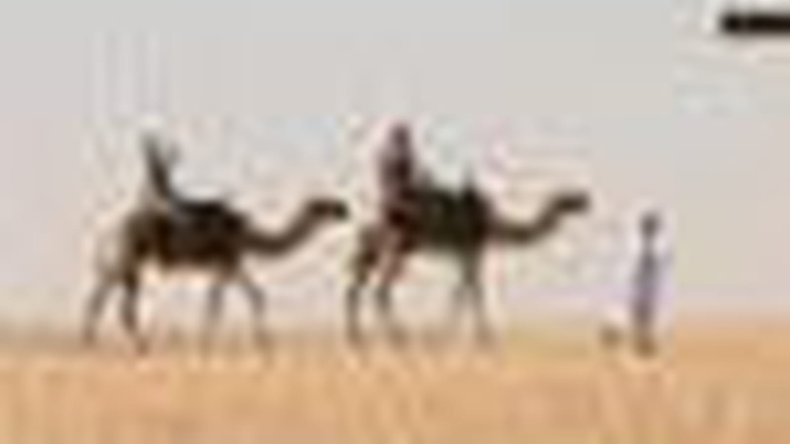 Les Emirats
