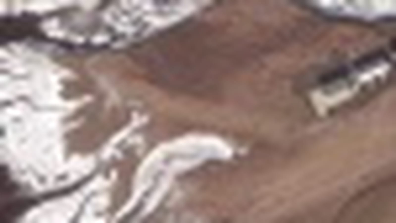 Glace d'Islande
