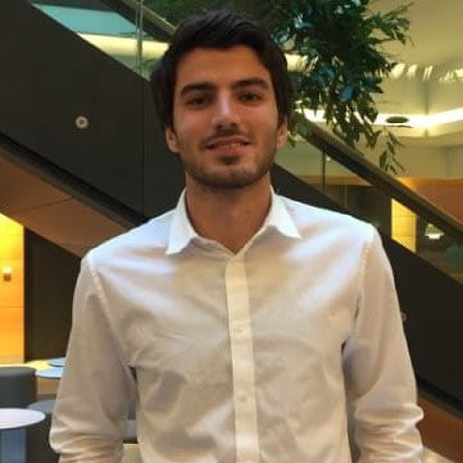 NFT : quelles opportunités marketing pour les marques ?